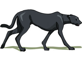 panther2.gif