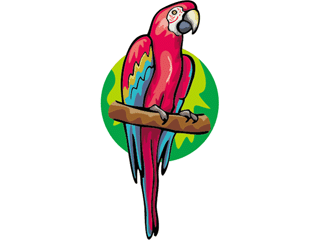 parrot4.gif