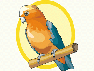 parrot6.gif