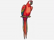 redparrot.gif