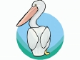 pelican.gif