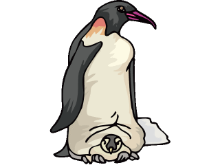 pinguin.gif