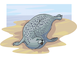 furseal2.gif