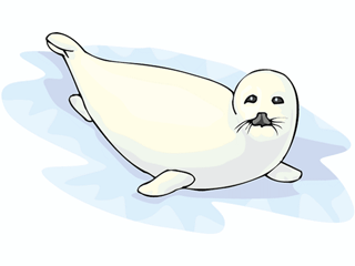 furseal3.gif