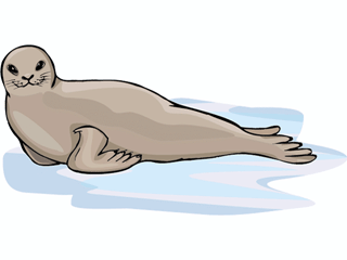 seal6.gif