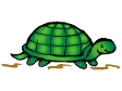 turtle1.gif
