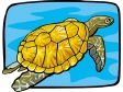 turtle11.gif