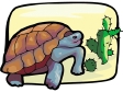 turtle7.gif