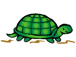turtle1.gif