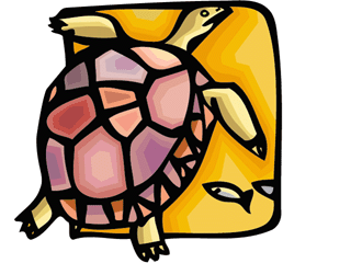 turtle2.gif