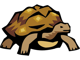 turtle6.gif