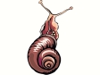 cochlea2.gif