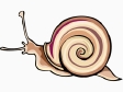 cochlea3.gif