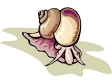 snail3.gif