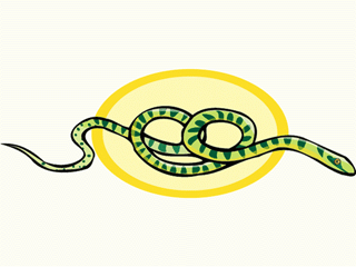 snake10.gif