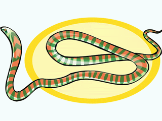 snake11.gif