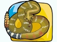 snake3.gif