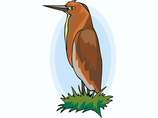 bird104.gif