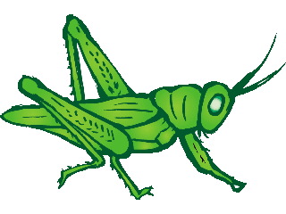 green_grasshopper.gif