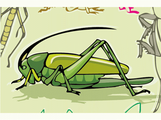 katydid2.gif