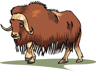 muskox2.gif