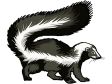 raccoon2.gif