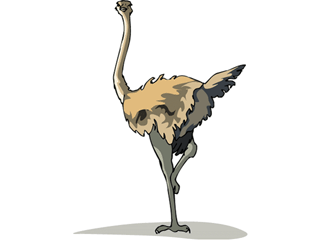 bird37.gif