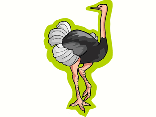 ostrich3.gif