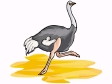 ostrich2.gif