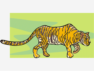 tiger4.gif