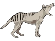 tasmaniantiger.gif