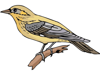 bird65.gif