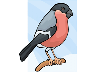 bullfinch.gif