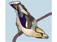 barleybird.gif