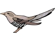 bird103.gif