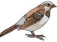 bird107.gif