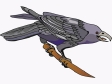 bird109.gif