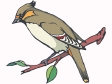 bird38.gif