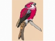 pinegrosbeak.gif