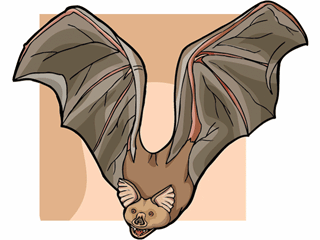 bat11.gif