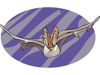 bat9.gif