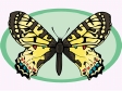 butterfly10.gif