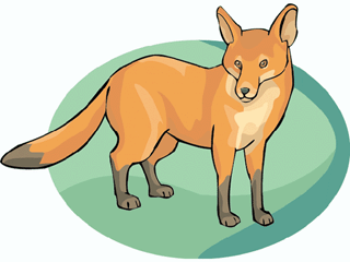 redfox.gif