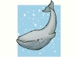 cetacea2.gif