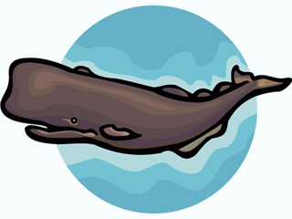 whale2.gif