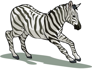 zebra.gif