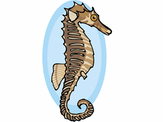 hippocampus1.gif