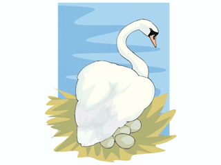 bird58.gif