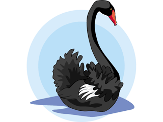 swan.gif