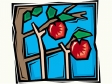 apples5121.gif